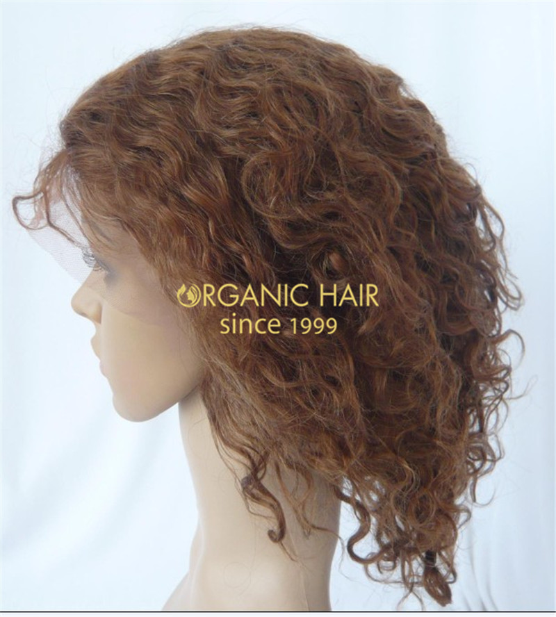 Organic human hair cheap lace front wigs